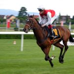 Unveiling the Stars: Chepstow Jump Season Opener’s Trainer Lineup and Standout Horses